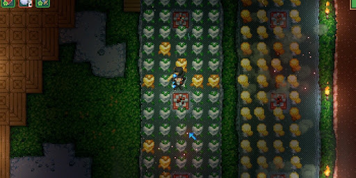 キャロック_石の地面