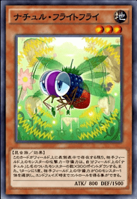 ナチュル・フライトフライ