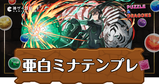 パズドラ-亜白ミナパーティ