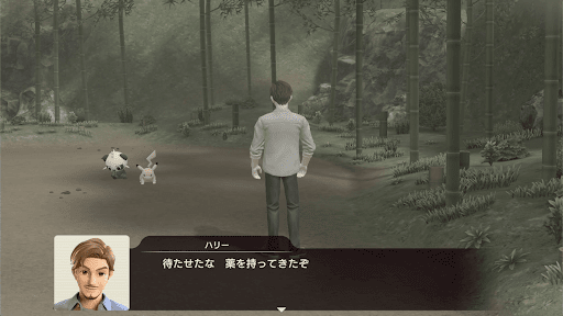 ヤンチャムのケガを治す