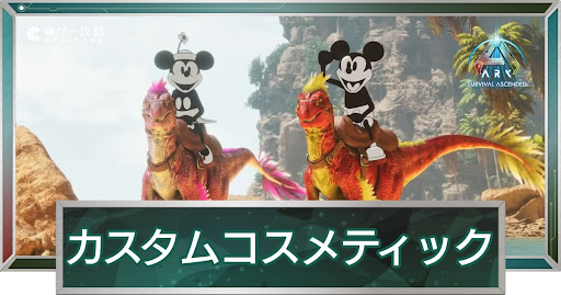 カスタムコスメティック