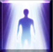 領域外の生命[A]