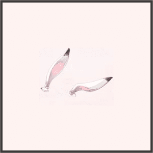 キュートなうさ耳