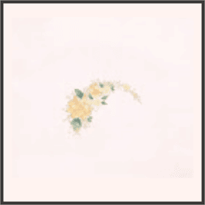 黄色のデイジー