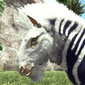 シマーエクウス