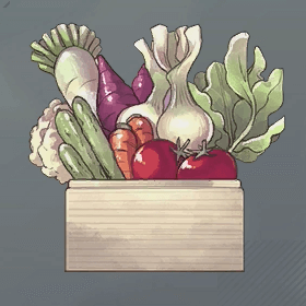 中級食材セット