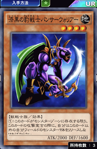 漆黒の豹戦士パンサーウォリアー