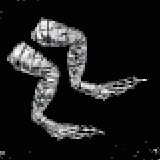 爬虫類両生類(プレーン)