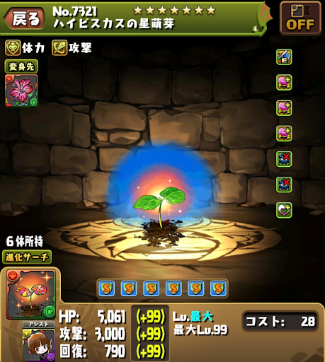 神秘の次元-ハイビスカス-リダフレ