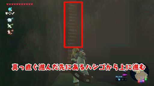 BotW_バナナを使った奥への進み方