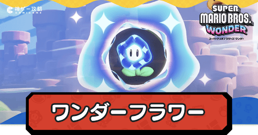 ワンダーフラワー