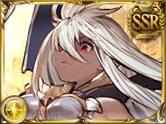 ジ・オーダー・グランデ