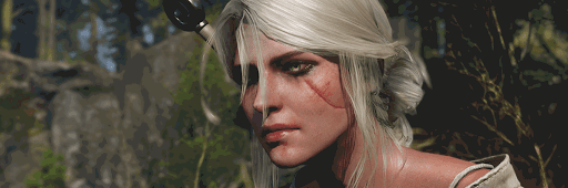 ウィッチャー3_ゲーム紹介2