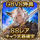 SSレアキャラ武器確定チケット