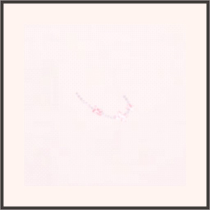 サクラブレスレット