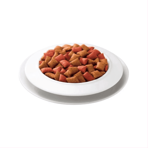 キャットフード