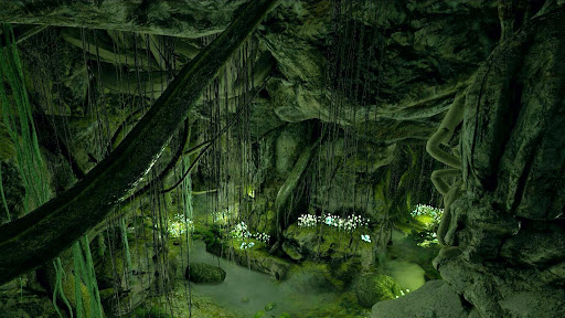 強者・免疫・群集の洞窟