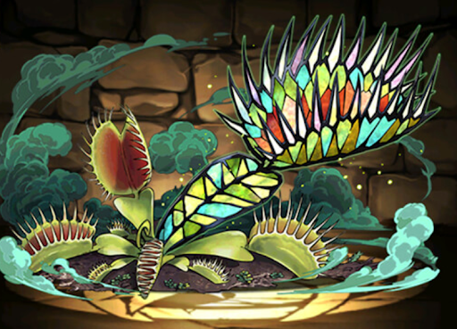 ハエトリグサの邪影華