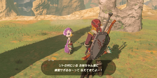 ゼルダBotW_リトの兄弟岩
