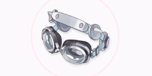 マイスターのゴーグル