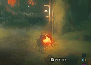 ゼルダBotW＿時間を経過させる方法