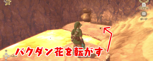 ゼルダSWS_バクダン花を転がして岩を壊そう