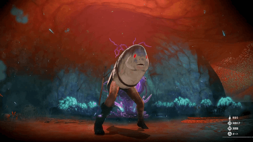 ホモ・フィオス