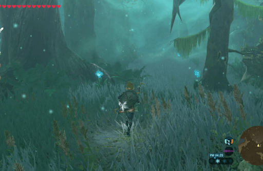 ゼルダBotW_トッチーより先回りして進む13