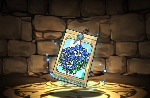 ネモフィラの種子
