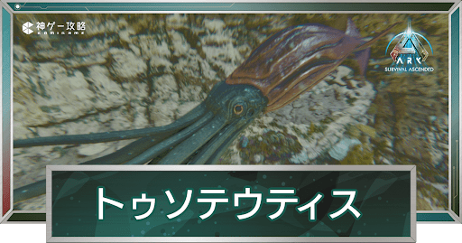 トゥソテウティス