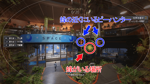 ビーハンターは蜂の近くに多く存在