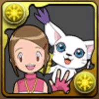 八神ヒカリ＆テイルモン（02）