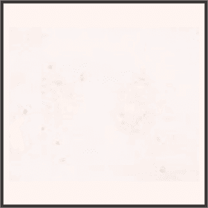 輝くサプライズ