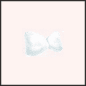 ミンクのショール