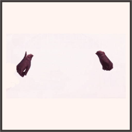 R-姫芙蓉の祈り