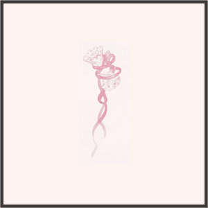 パペットのリボン