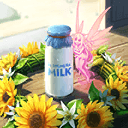 夏の名残に、祈りを編む