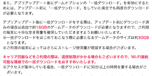 総容量は30GB