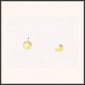 スポットライト