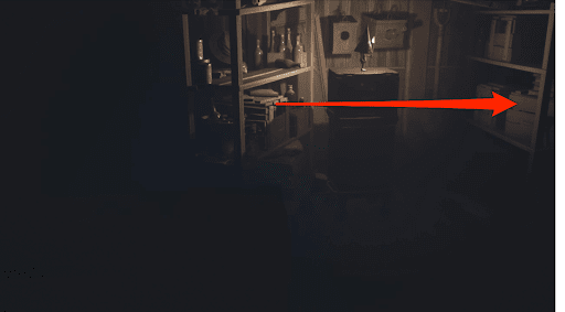 ノームを荷台に乗せて対岸まで運ぶ