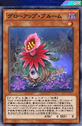 グローアップ・ブルーム