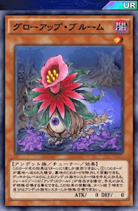 グローアップ・ブルーム