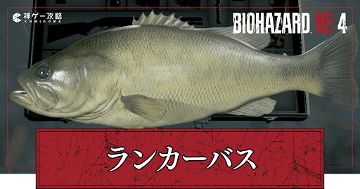 ランカーバスの入手方法
