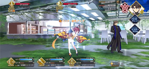 fgo-カード耐性