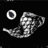 珍鳥(ワイルドミント風味)