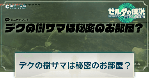 デクの樹サマは秘密のお部屋？