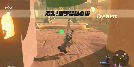 BotW_潜入！男子禁制の街