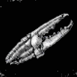 甲殻類(プレーン)