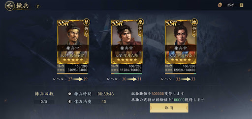 天下への道_レベルを30以上まで上げる