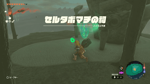 北方角に祠が見えるので入り口して解放する